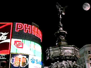 awil11.jpg (20405 bytes)