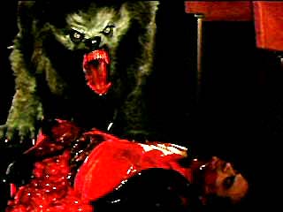 awil15.jpg (16942 bytes)