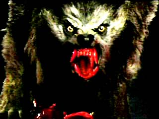 awil16.jpg (18488 bytes)