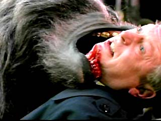 awil17.jpg (18281 bytes)