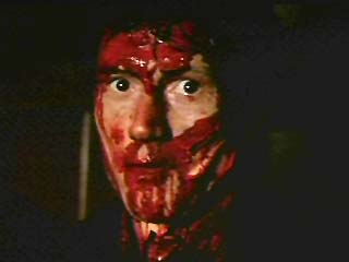 awil9.jpg (9820 bytes)