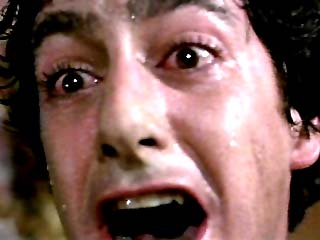 awtrans2.jpg (14846 bytes)