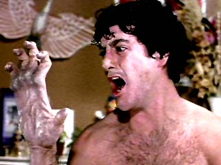 awtrans4.jpg (19982 bytes)