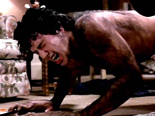 awtrans7.jpg (19002 bytes)