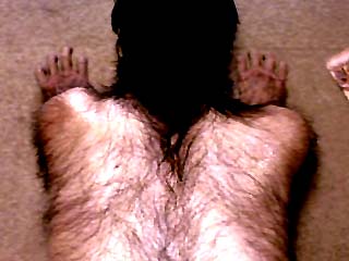 awtrans8.jpg (17591 bytes)