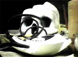 skull.jpg (20068 bytes)